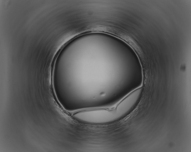 X0000091091036200708271251