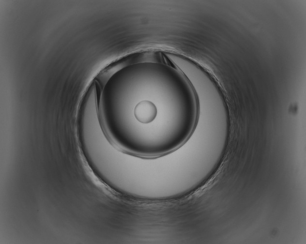 X0000091091038200708271251