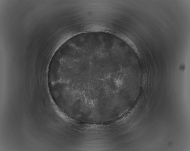 X0000091091039200708271252