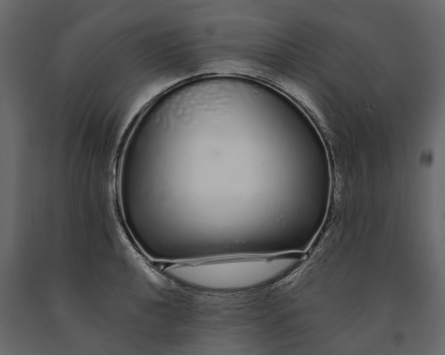 X0000091091040200708271252