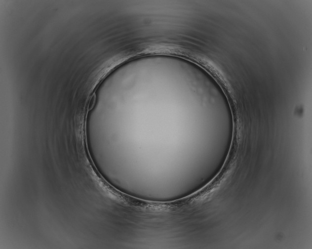 X0000091091041200708271252