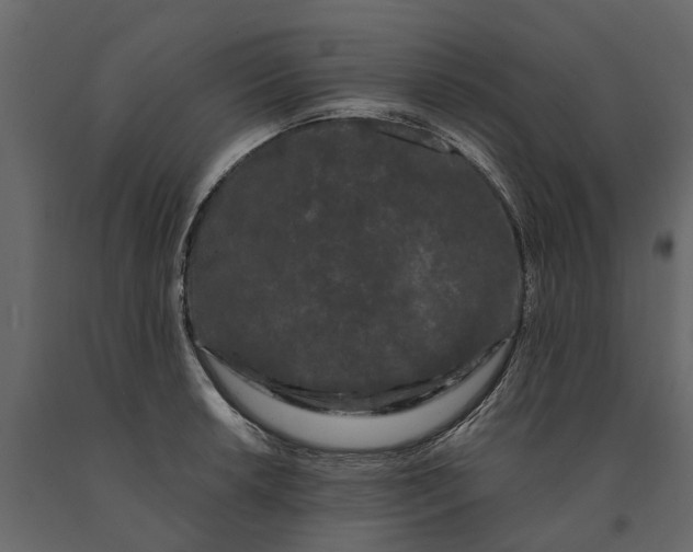 X0000091091042200708271252