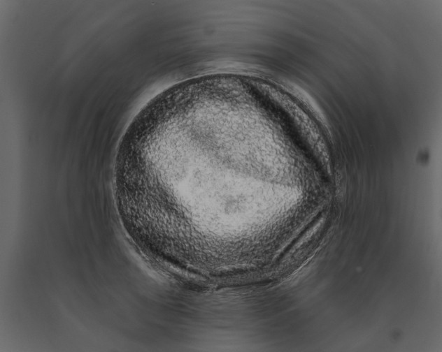 X0000091091043200708271252