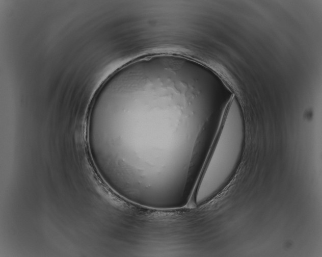 X0000091091044200708271252