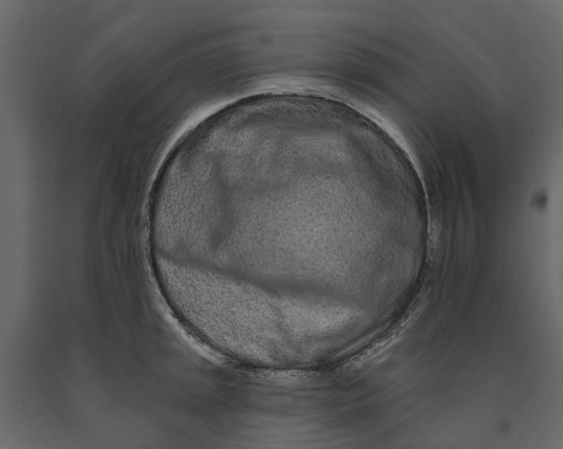 X0000091091045200708271252