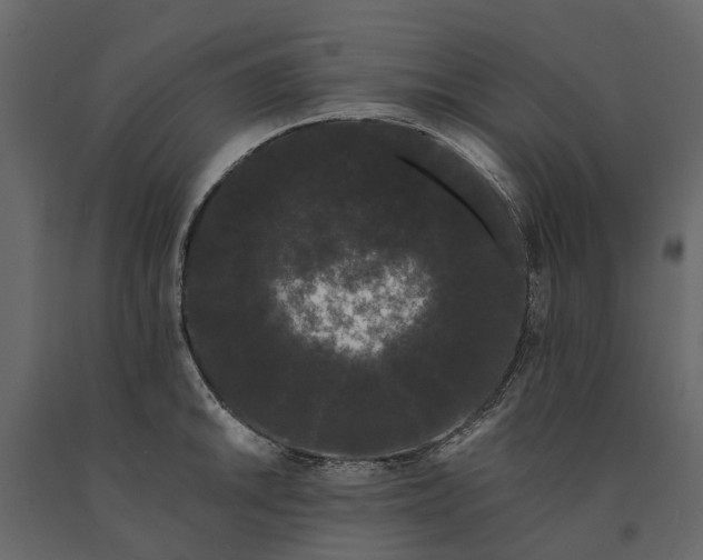 X0000091091046200708271252