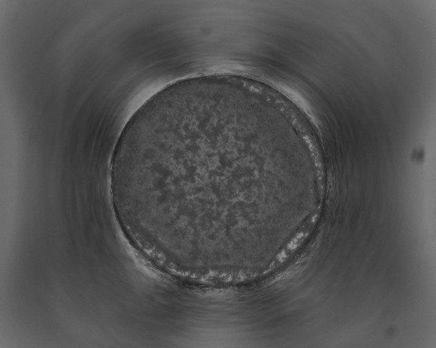 X0000091091047200708271252