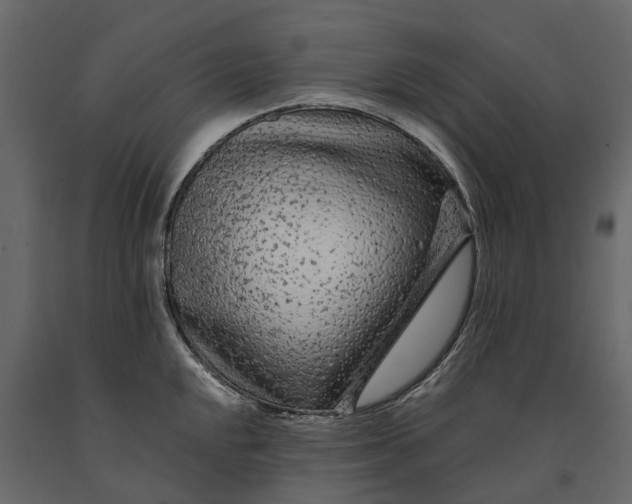 X0000091091048200708271252