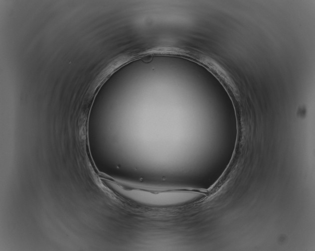 X0000091091049200708271252