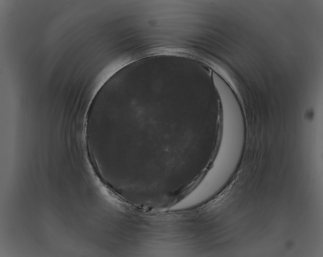 X0000091091050200708271252