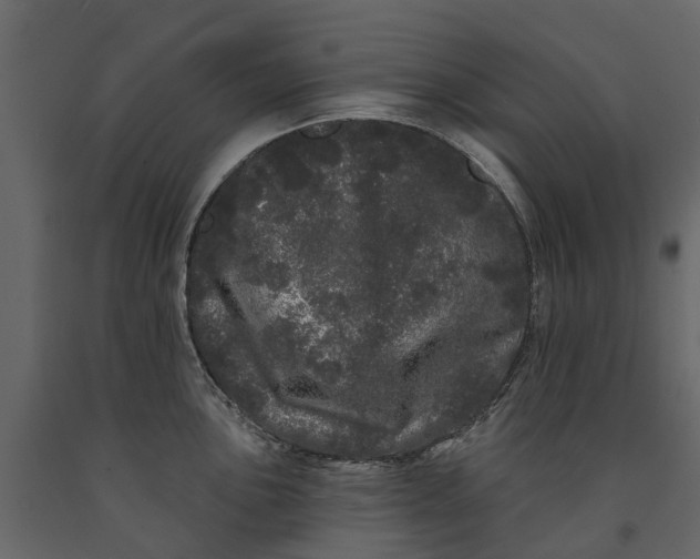 X0000091091051200708271252