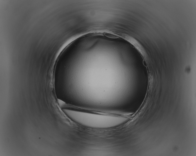 X0000091091052200708271252