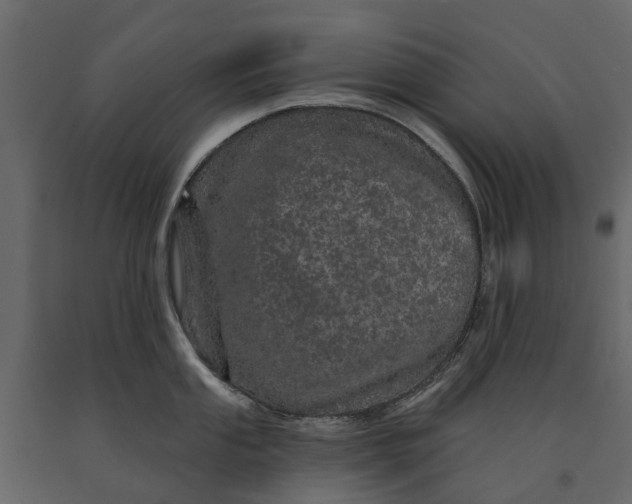 X0000091091053200708271252