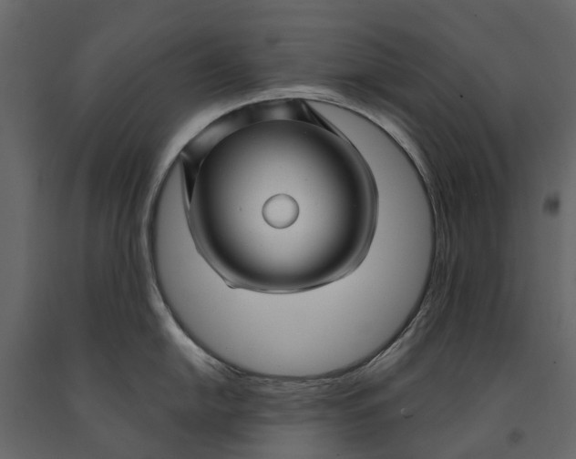 X0000091091054200708271252