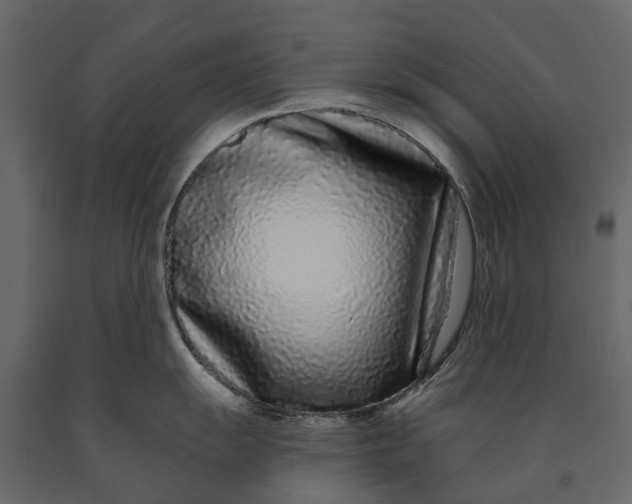 X0000091091055200708271252