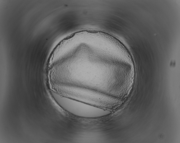 X0000091091056200708271252