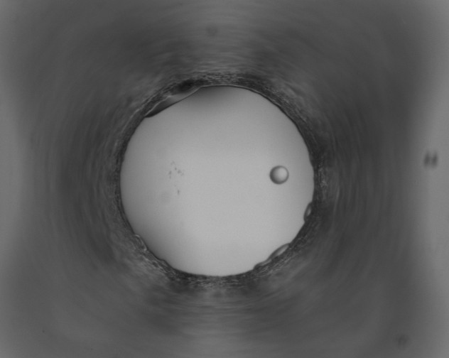 X0000091091057200708271251