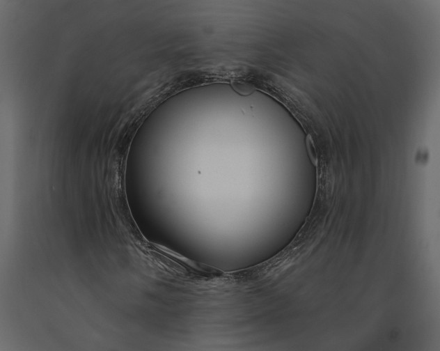 X0000091091058200708271251