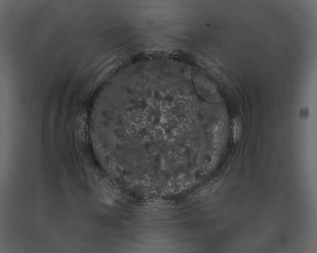 X0000091091059200708271251