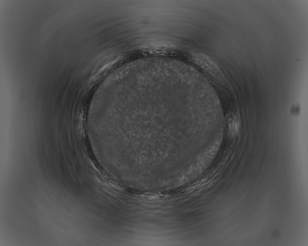 X0000091091060200708271251