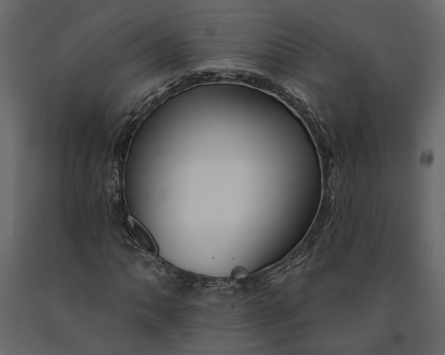 X0000091091062200708271251