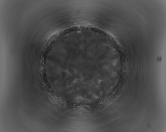 X0000091091063200708271251