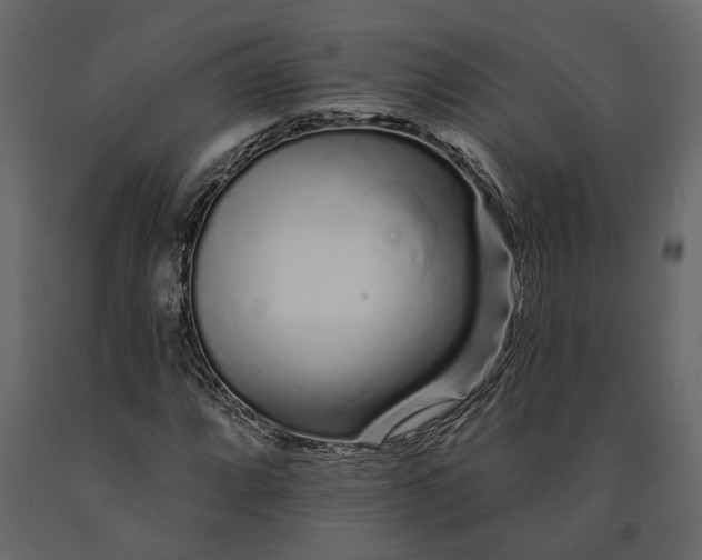 X0000091091064200708271251