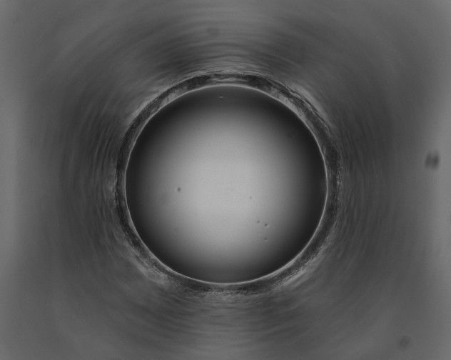 X0000091091065200708271251