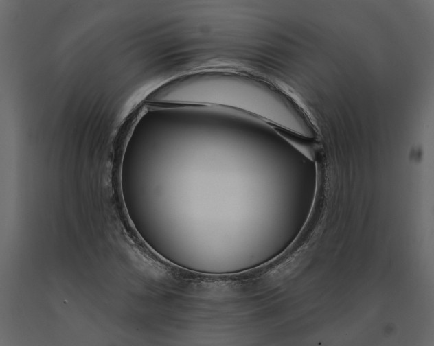 X0000091091066200708271251