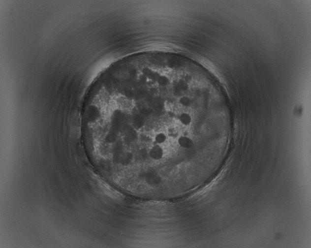 X0000091091067200708271251