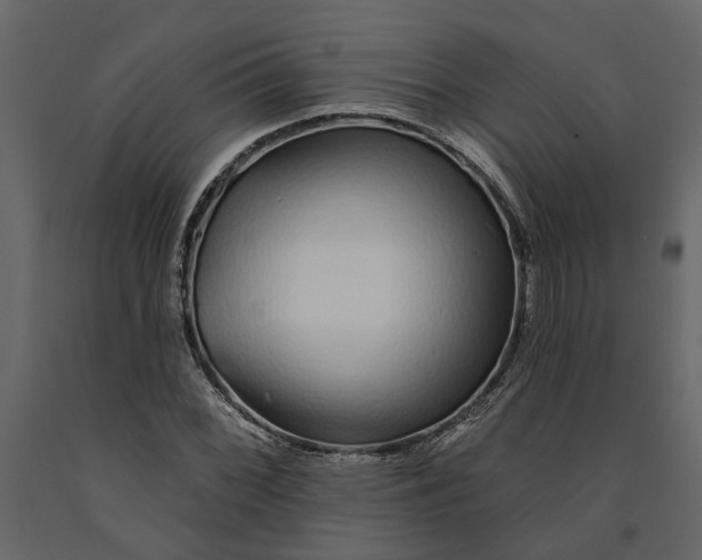 X0000091091068200708271251