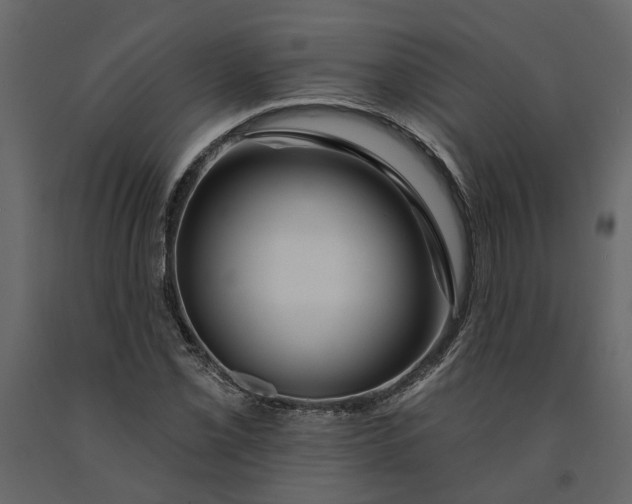 X0000091091069200708271251