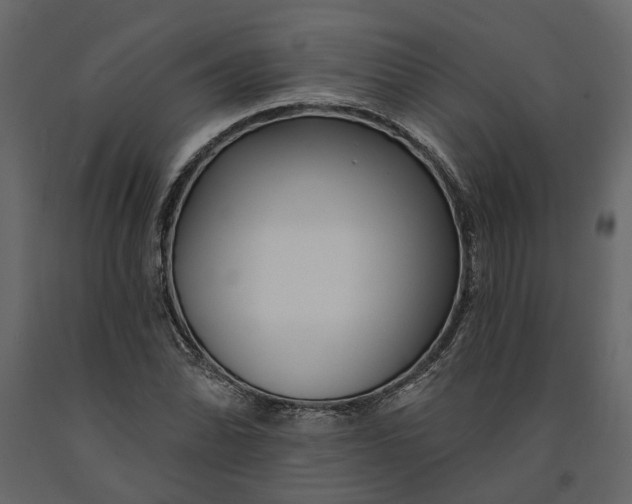 X0000091091070200708271251