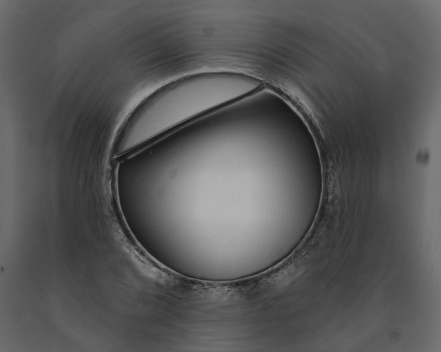 X0000091091072200708271251