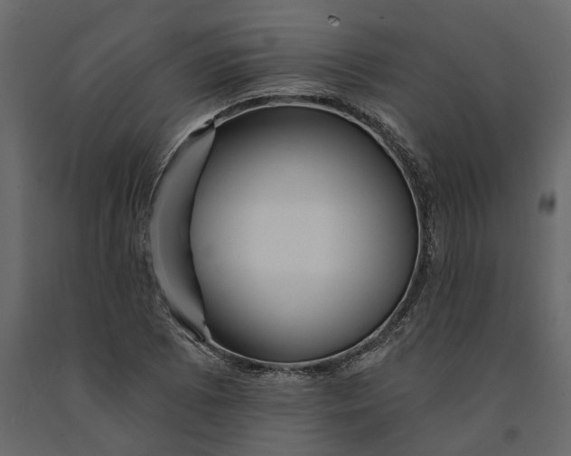 X0000091091073200708271251