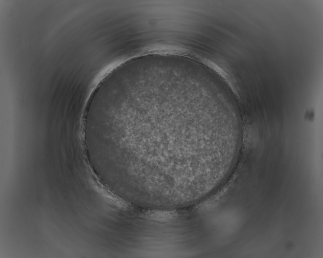 X0000091091074200708271251