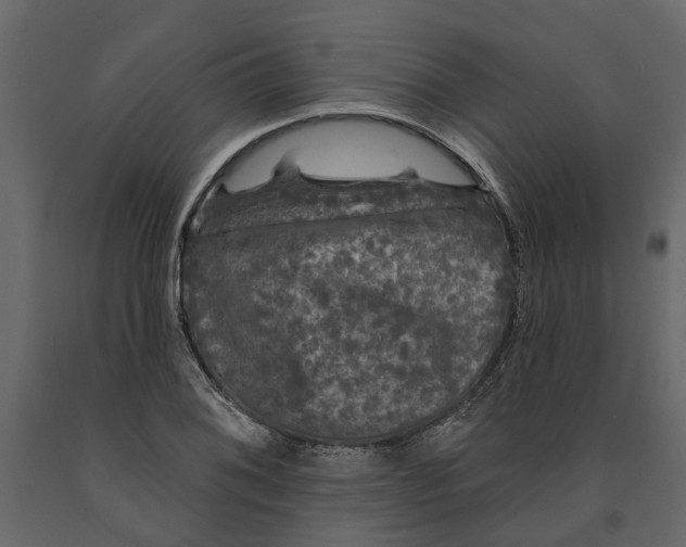 X0000091091076200708271251