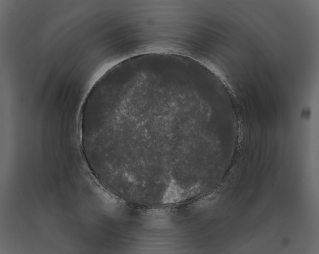 X0000091091078200708271251