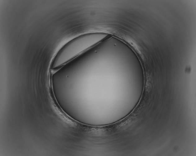 X0000091091080200708271251