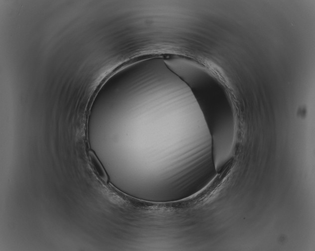 X0000091091081200708271251