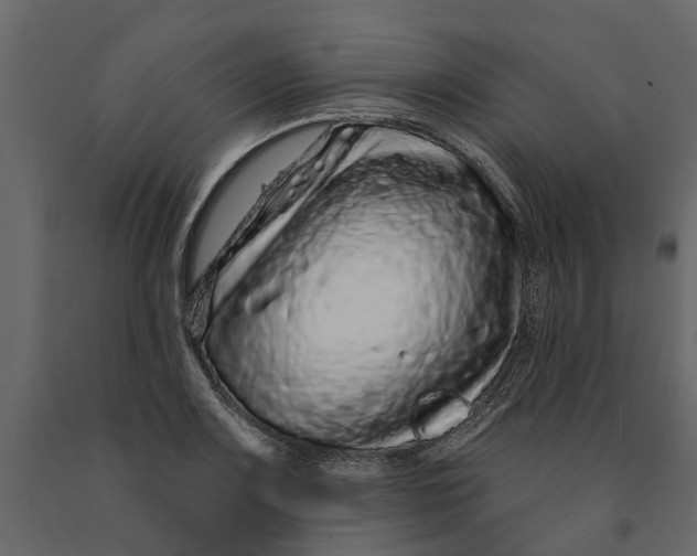 X0000091091083200708271251