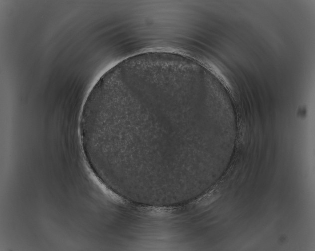 X0000091091084200708271251