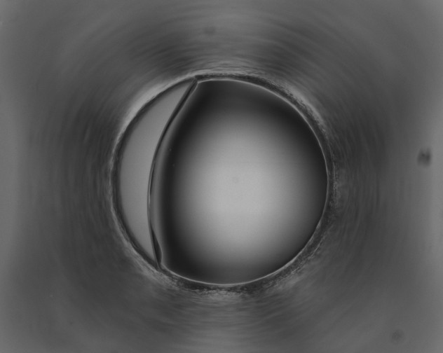 X0000091091085200708271251