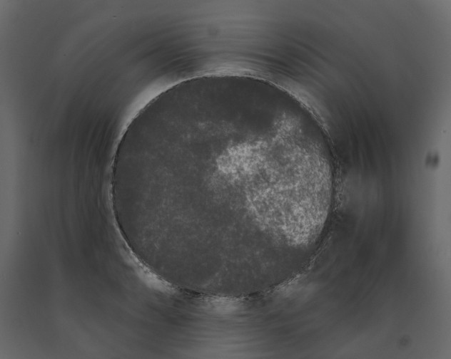 X0000091091086200708271251