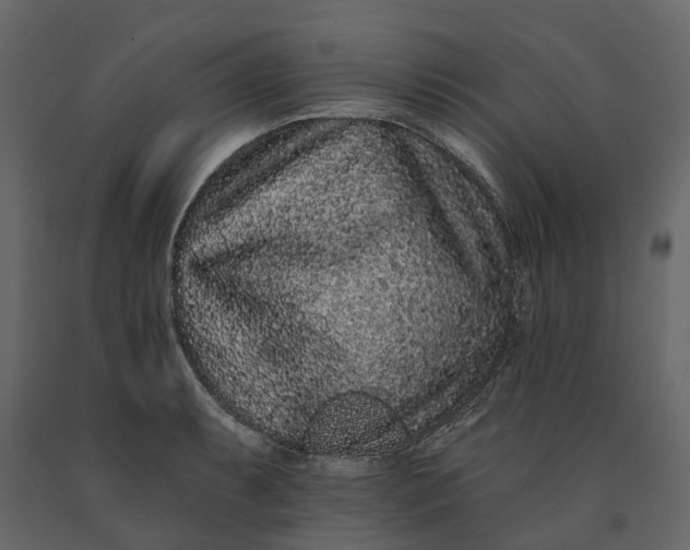 X0000091091087200708271251