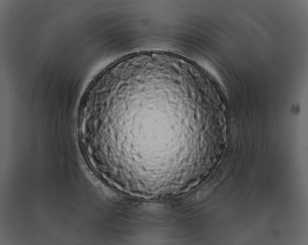 X0000091091088200708271251