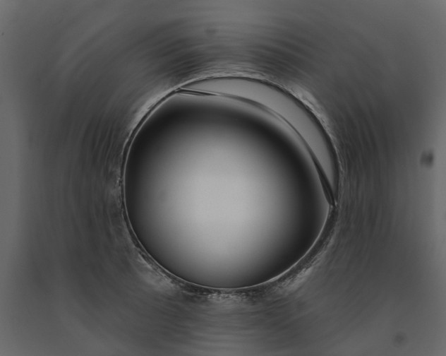 X0000091091089200708271251