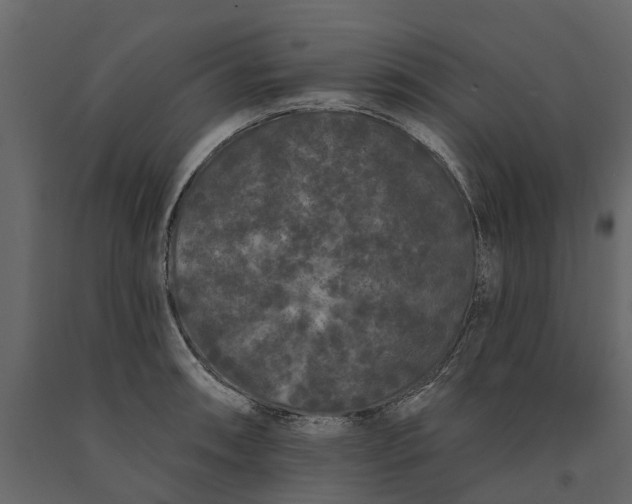 X0000091091090200708271251