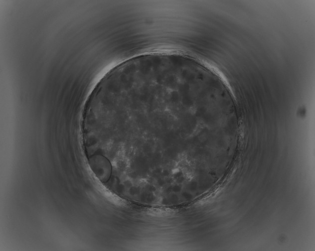 X0000091091091200708271251