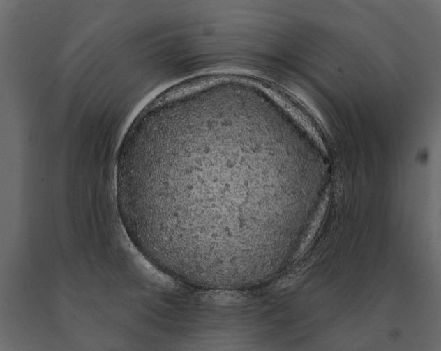 X0000091091092200708271251